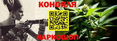 крисы Норильск